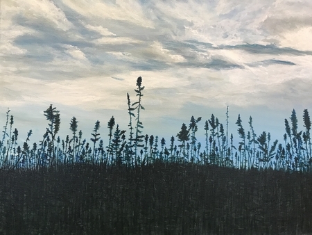 Kenora Skies