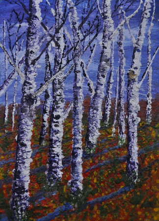 Autumn Birch Stand