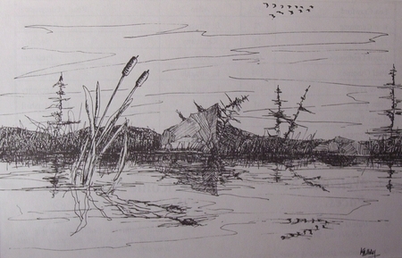 Cat Tails in the Swamp