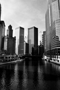 Reflections On The Chicago River